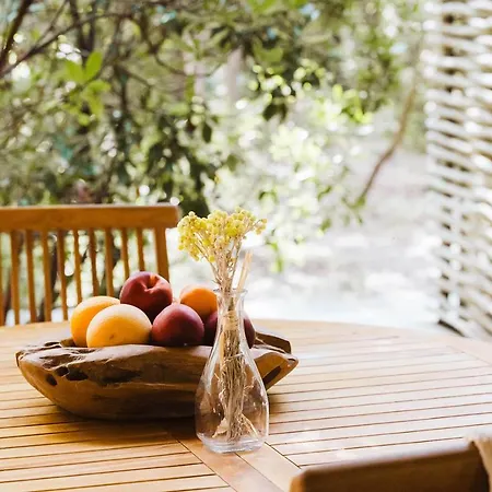 Les De Bagheera, Oasis Naturiste Linguizzetta