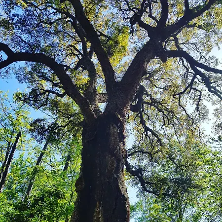 Les De Bagheera, Oasis Naturiste Linguizzetta