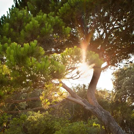 Villa Les De Bagheera, Oasis Naturiste *