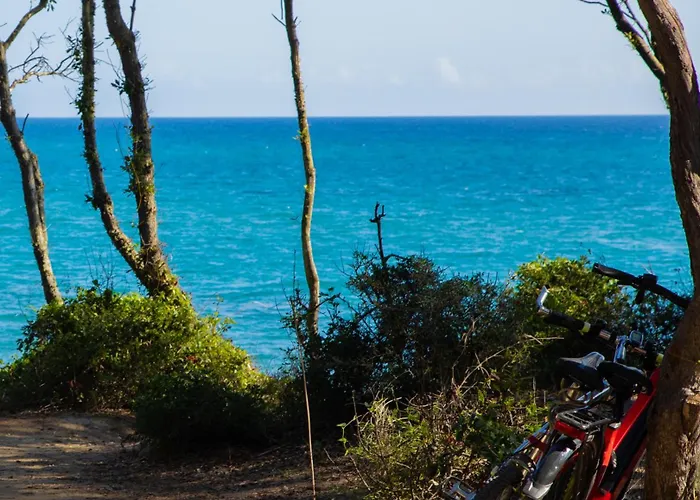 Les De Bagheera, Oasis Naturiste * Linguizzetta