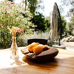Les De Bagheera, Oasis Naturiste * Linguizzetta