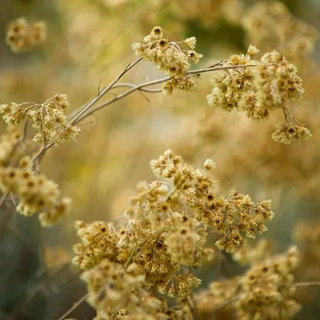 Les De Bagheera, Oasis Naturiste Villa *