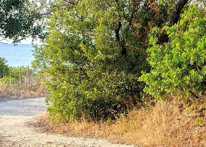 Villa Les De Bagheera, Oasis Naturiste Linguizzetta