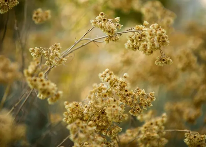 Les De Bagheera, Oasis Naturiste Villa *