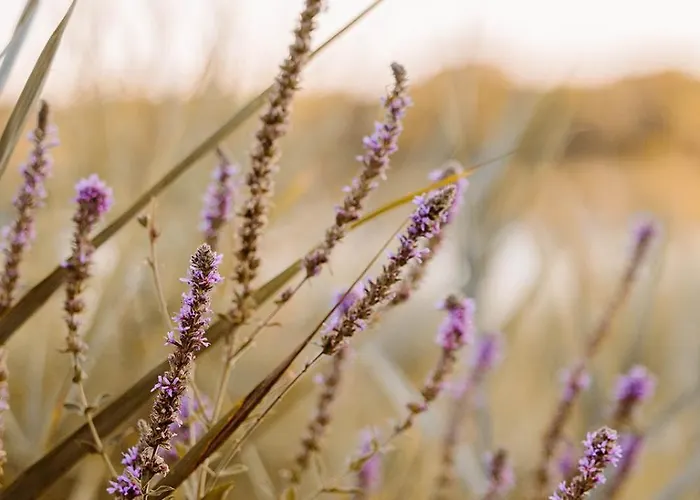 Les De Bagheera, Oasis Naturiste Villa *
