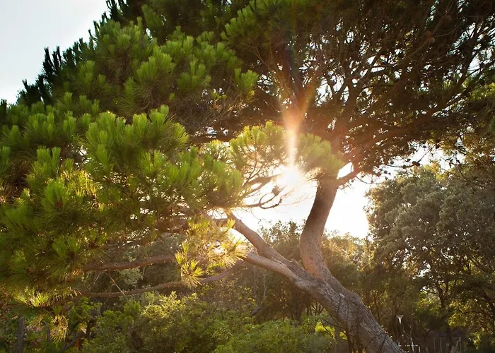 Villa Les De Bagheera, Oasis Naturiste *